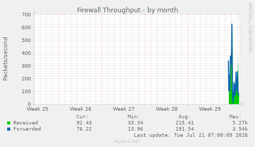 Firewall Throughput
